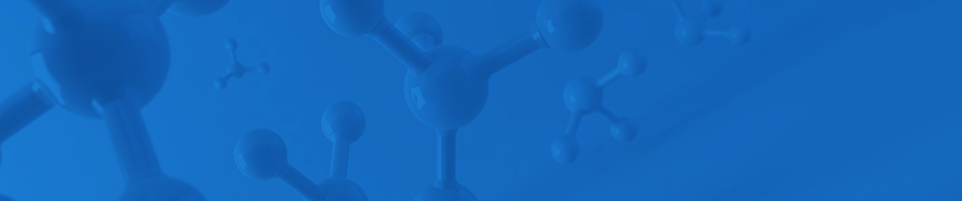 蛋白质定性定量分析