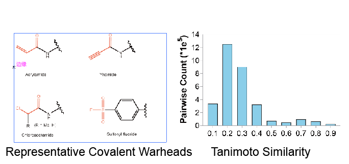 自主IP的共价化合物库